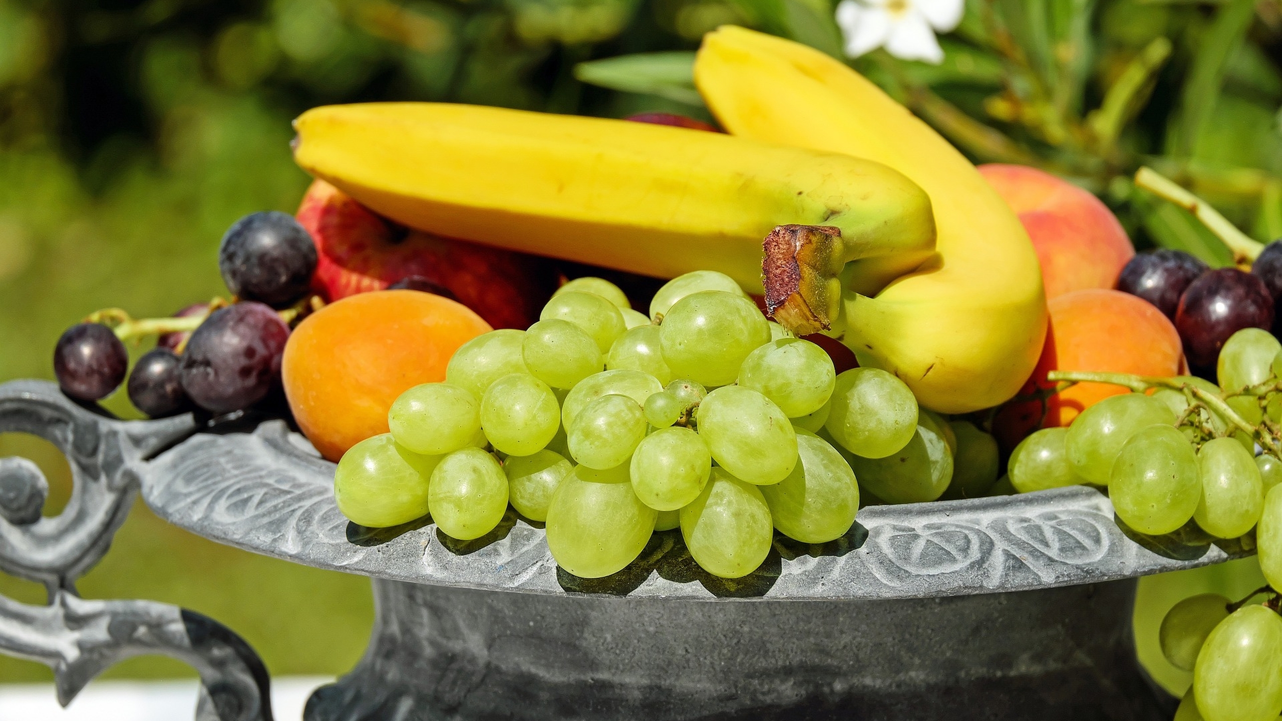 Verschillende soorten fruit op een schaal. Download hier de fruitsponsorbrief - Jantje Beton