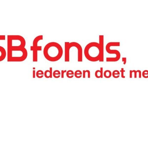 Het logo van het VSB fonds. Lees hier hoe je een aanvraag doet voor een donatie bij het VSB Fonds als speeltuin of kindervakantieorganisatie - Jantje Beton