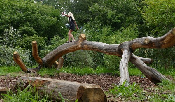 Een vrouw loopt over een boomstam in een speeltuin. in de cursus groen-blauwe speelplekken lees je meer over het ontwerpen en realiseren van speeltuinen voor de toekomst.