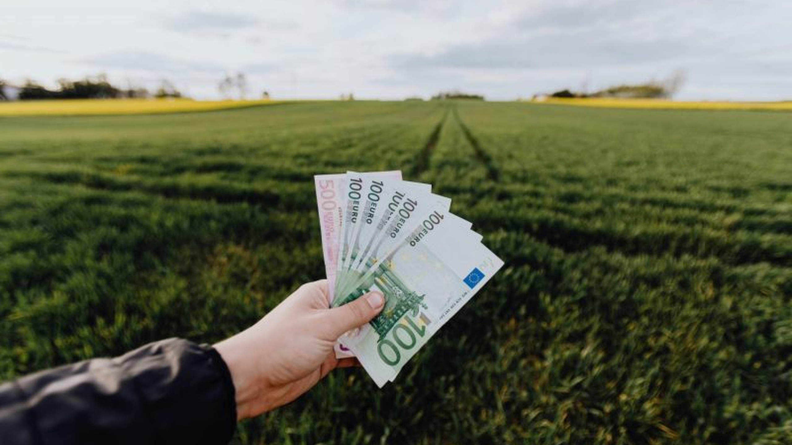 Briefpapier wordt in de hand gehouden. De kascommissie van een speeltuin heeft een belangrijke functie bij het controleren van de bankrekening - Jantje Beton