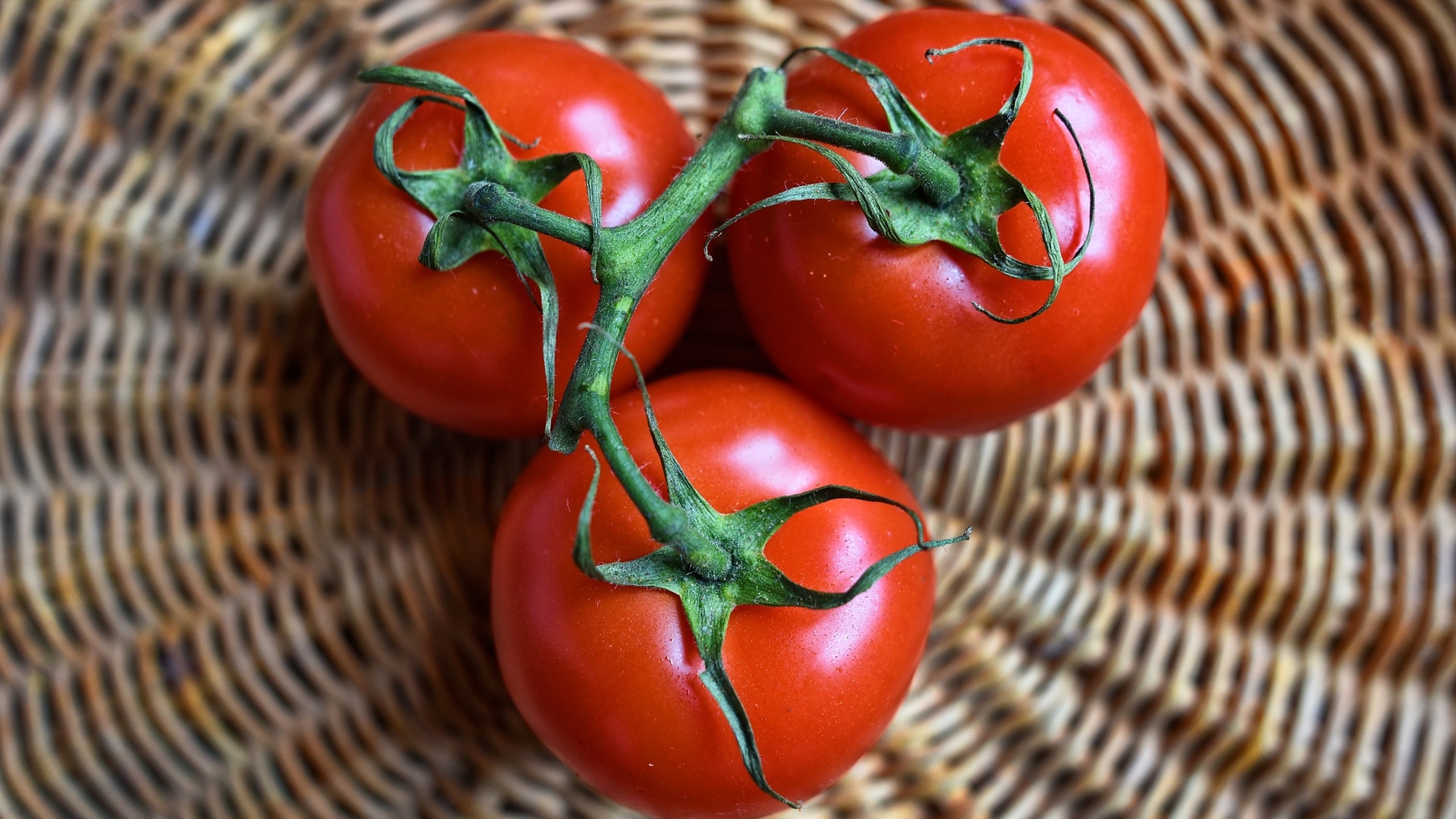 Tomaten in een schaal. Voedselveiligheid is ook voor speeltuinen belangrijk, download de hygiënecode hier - Jantje Beton