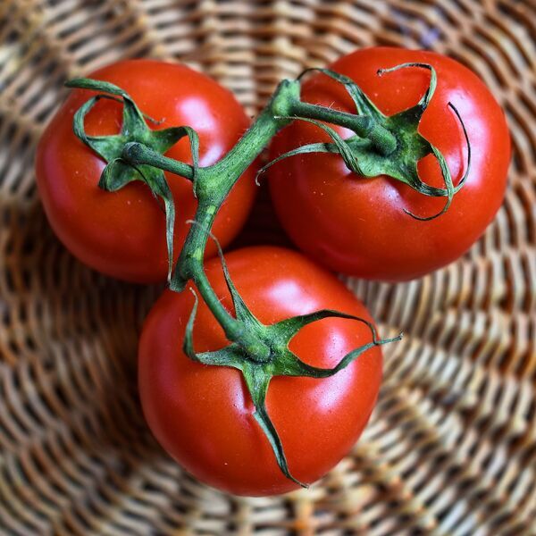 Tomaten in een schaal. Voedselveiligheid is ook voor speeltuinen belangrijk, download de hygiënecode hier - Jantje Beton